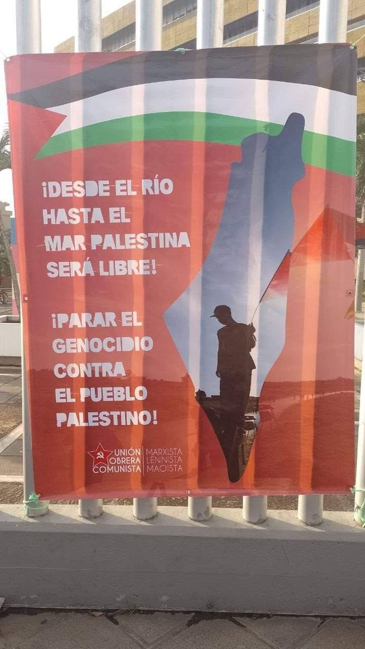 23F: Una significativa participación por Palestina 1